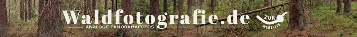 Banner für die Waldfotografie Webseite