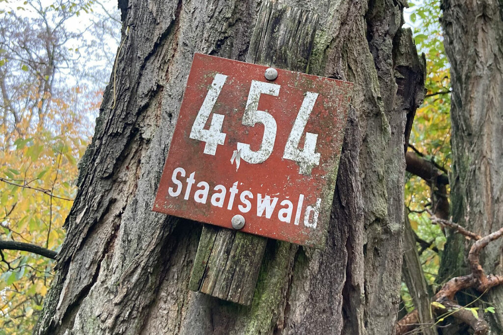 Ein Schild an einem Baum mit dem Hinweis auf einen Staatswald
