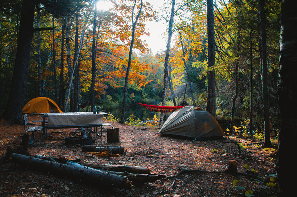Ein Camp im Wald mit zwei Zelten, einer Hängematte und Feuerstelle
