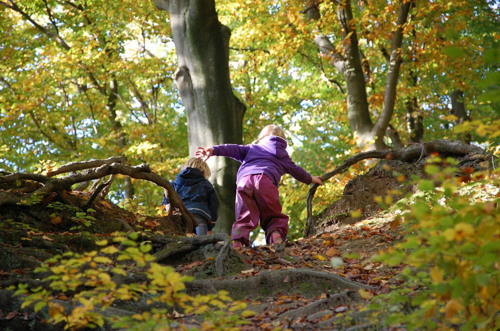 Zwei Kinder klettern im Herbst einen steilen Waldweg nach oben, ein Kind hält sich dazu an einem Ast fest