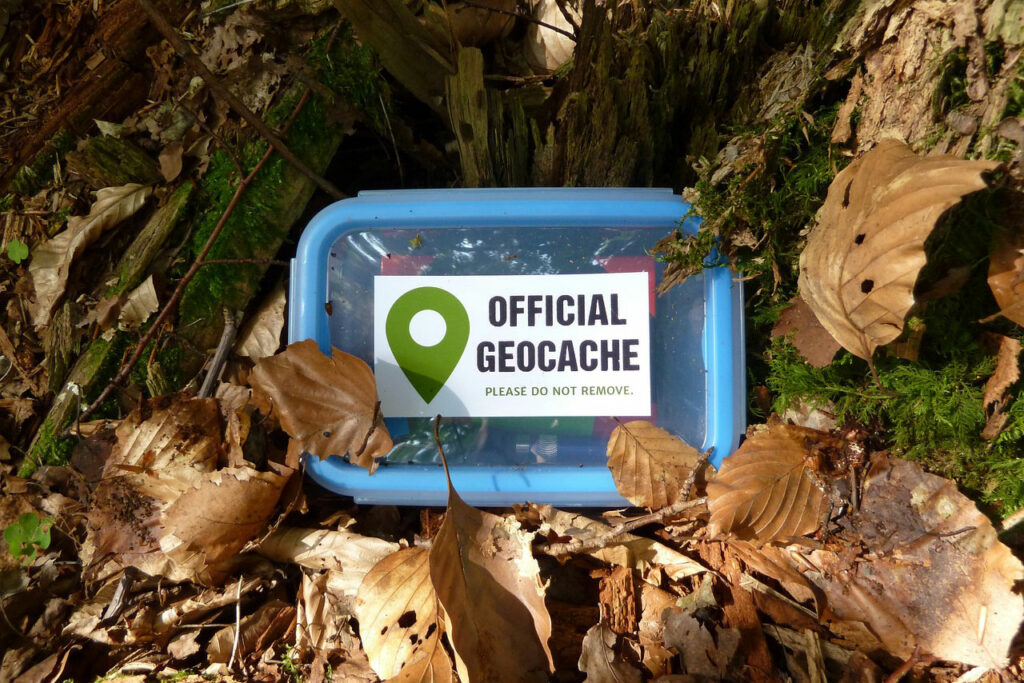 Ein Geocaching Behälter liegt versteckt zwischen Blättern und Moos am Waldboden