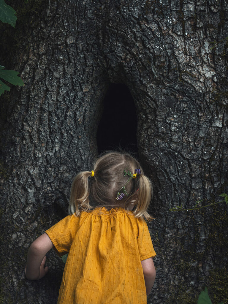 Ein Mädchen im Kindergartenalter schaut in eine Baumhöhle ob sich dort etwas versteckt hat
